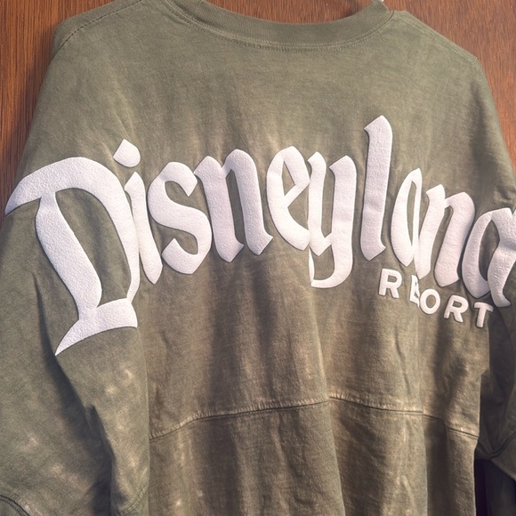 Disney Tops - Disneyland Spirit Jersey